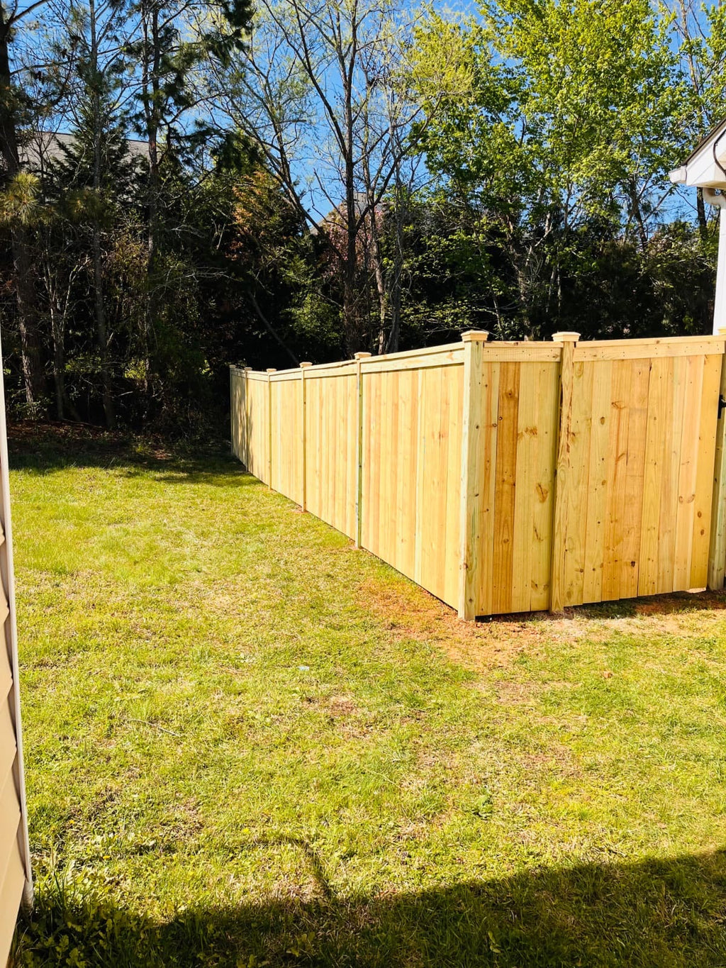 Pressure treated pine wood privacy fence.