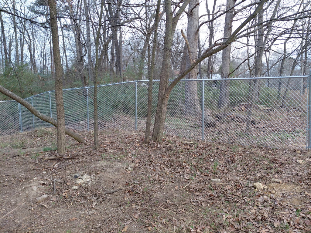 Chain Link Fence.